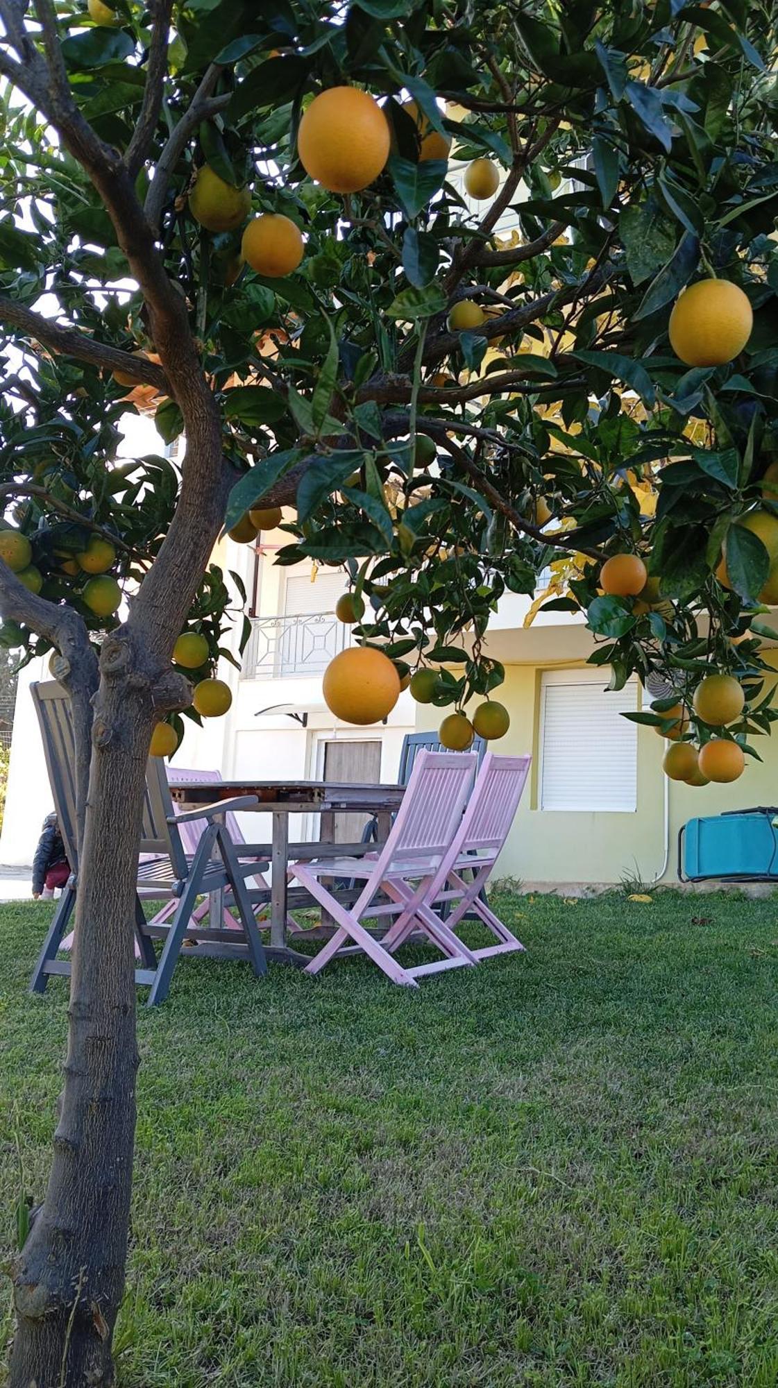 Katia 'S Country House Sikion Εξωτερικό φωτογραφία